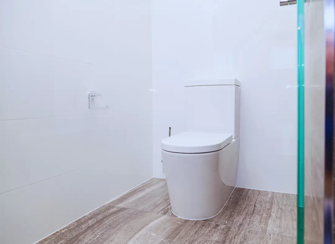 Remplacement de wc Ambarès-et-Lagrave